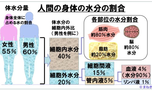 片仔癀胶囊12粒价格-片仔癀胶囊一盒多少钱、片仔癀胶囊6粒装一盒多少钱 -片仔癀胶囊6粒装网